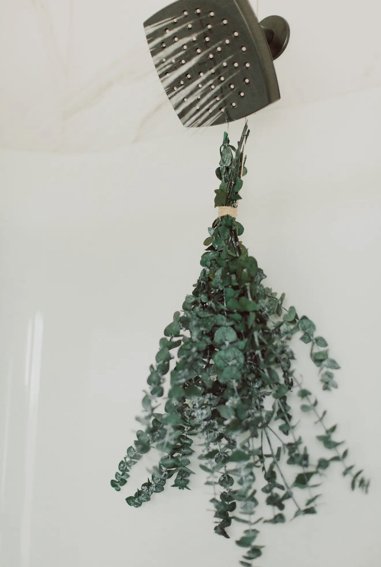 Eucalyptus Shower Bundles – Aromatherapy Spa Experience for Stress Relief & Congestion