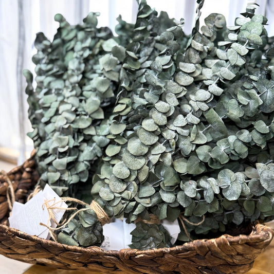 Eucalyptus Shower Bundles – Aromatherapy Spa Experience for Stress Relief & Congestion